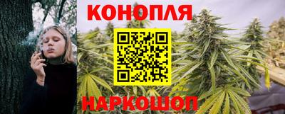 spice Будённовск