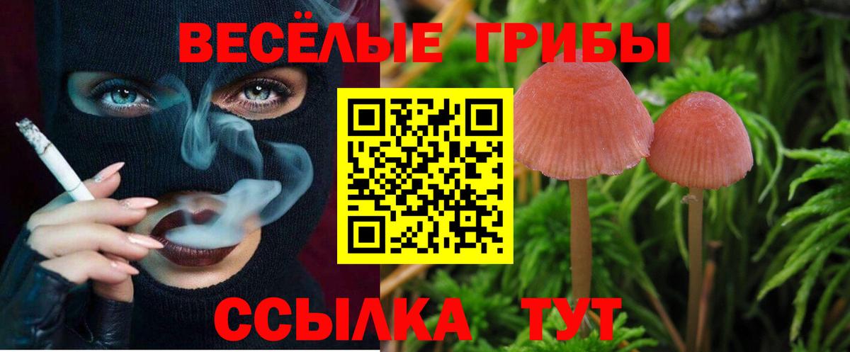 магазин продажи   Вход с VPN  Саров  Галлюциногенные грибы мухоморы 